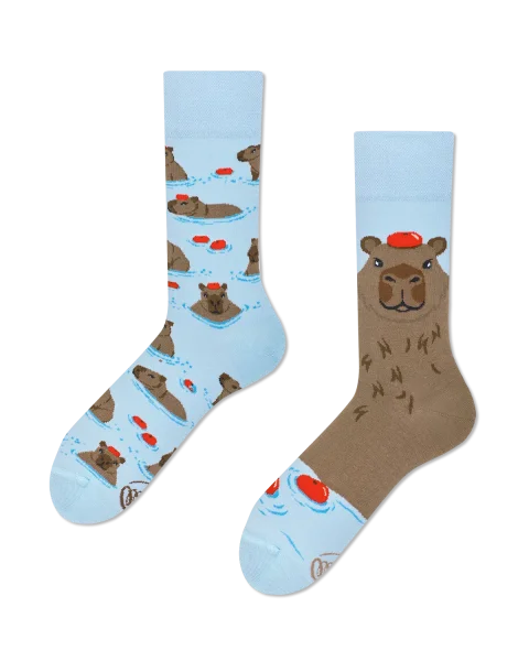 Many Mornings - Mismatched Socken - Capybara/Wasserschwein